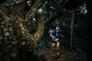 BIB: 
                            <button type="button" onclick="openModal(25693927)" class="btn btn-primary btn-sm float-right btn-popup" data-toggle="modal" data-target=".modal-high-quality">
                        <i class="fas fa-shopping-cart"></i> Add to Cart
                    </button>
                                            <button type="button" onclick="isThisMe(25693927, true)" class="btn btn-success btn-sm float-right btn-popup btn-isme hidden" data-toggle="tooltip" data-placement="bottom" title="นี่คือรูปของคุณใช่ไหม คลิกที่นี่เพื่อเอาเข้าอัลบั้ม">
                        <i class="fas fa-plus"></i> Add to album
                    </button>
                    <button type="button" onclick="isThisMe(25693927, false)" class="btn btn-warning btn-sm float-right btn-popup btn-isnotme hidden">
                        <i class="fas fa-ban"></i> Remove from album
                    </button>